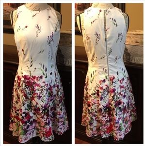 Maggy London Floral Fit & Flare Dress, Size 10